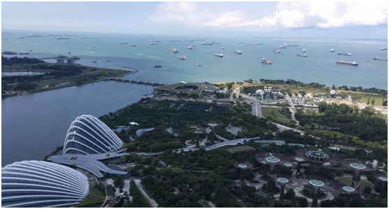 记ag尊龙管理进步奖获得者新马六天游